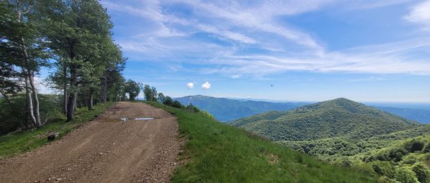 alpe sacchi