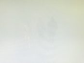 Pergolettese vs Pro Vercelli, nebbia