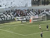 Pro, il punto della situazione