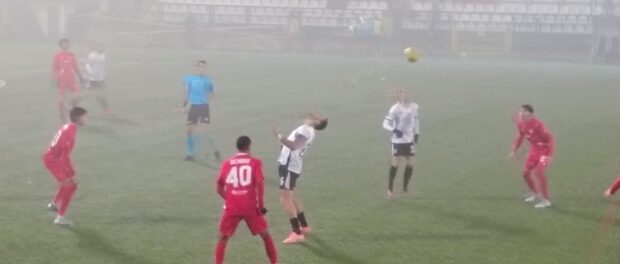 Pro