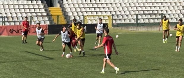 Andrea Moretti Pro