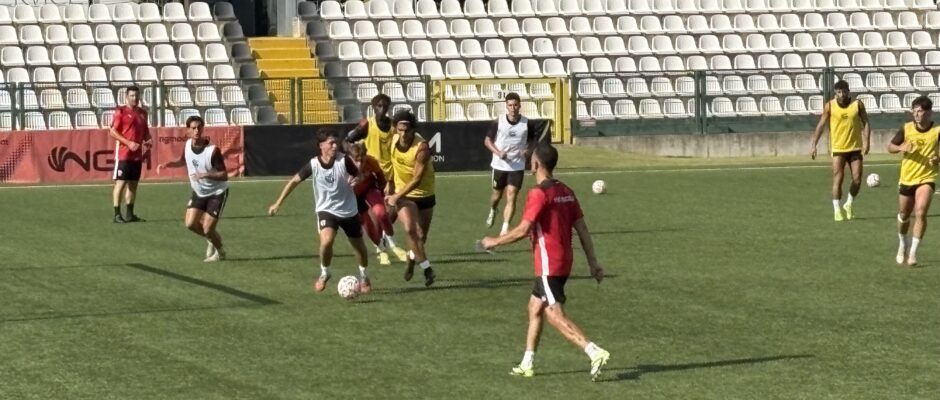Andrea Moretti Pro